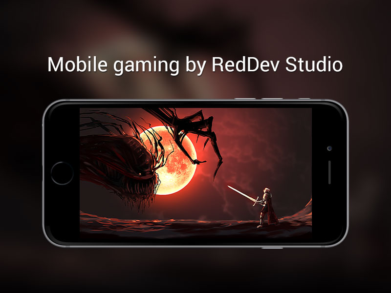 Red Dev Studio sp. z o.o.